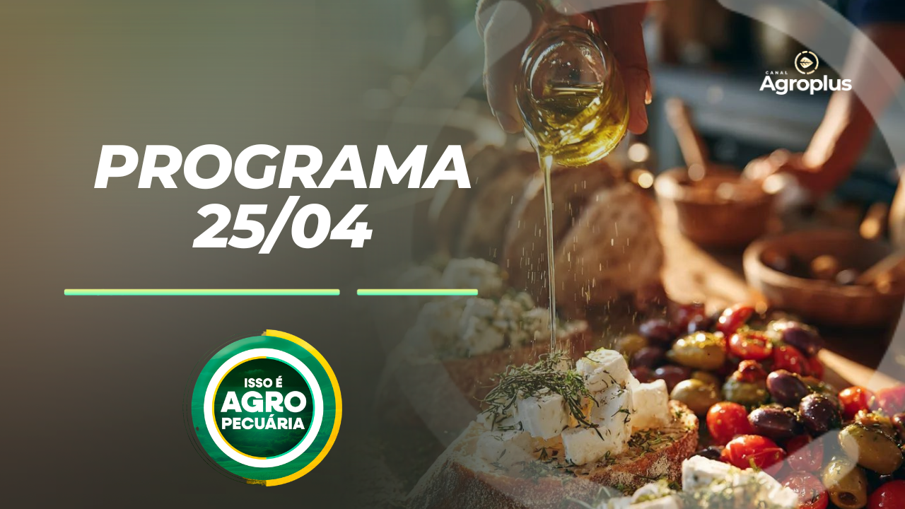 Cooperativismo, Azeite E A Revolução Do Queijo